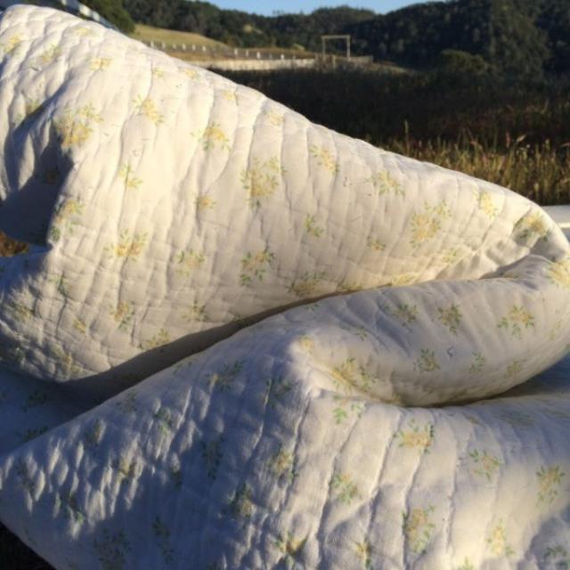 Pillows + blanket rentals San Francisco CA, Where to rent pillows ...