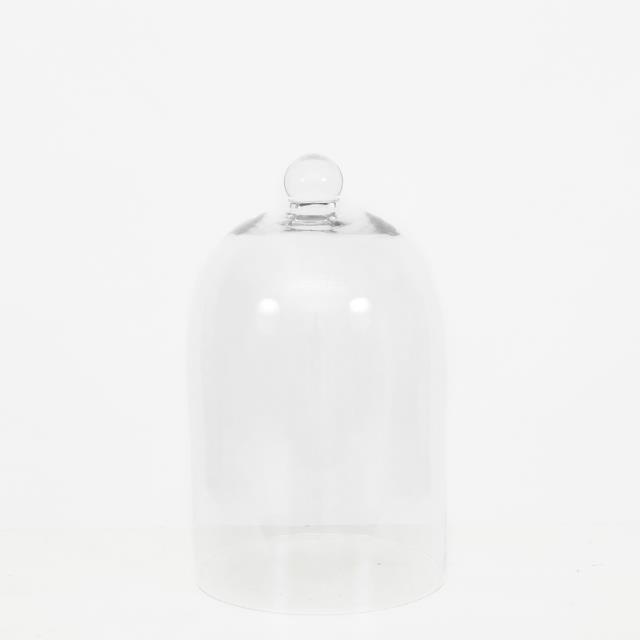 Rental store for Large Glass Cloche in San Francisco CA